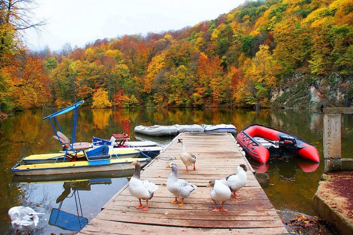 dilijan-national-park1.jpg