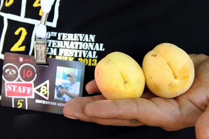 International-Film-Festival-Golden-Apricot.jpg