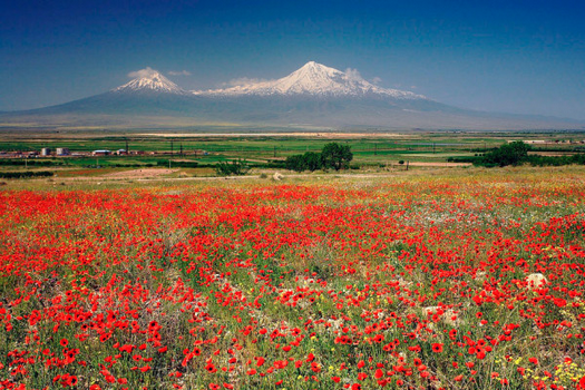 armenia-wethear.png