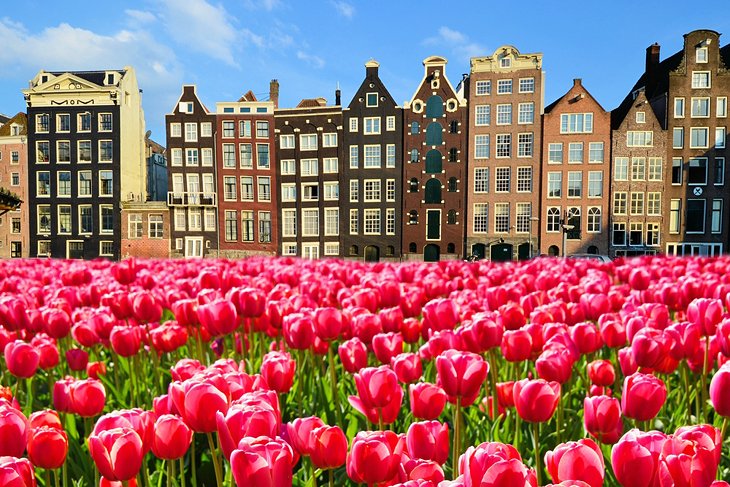 netherlands-top-cities-amsterdam.jpg