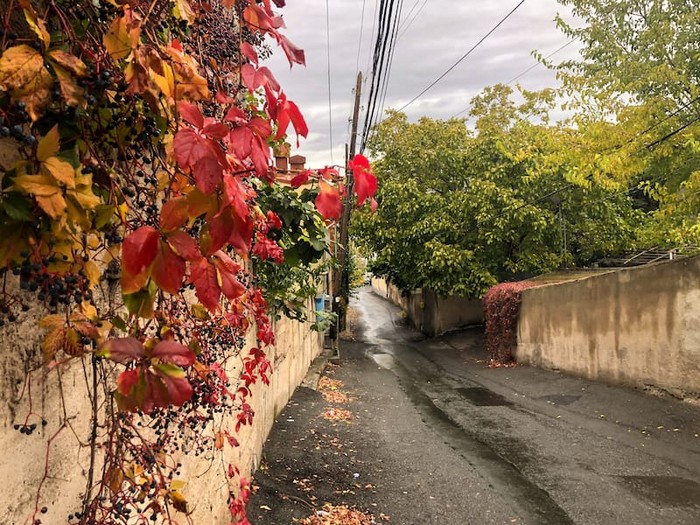 yerevan-tour-in-fall.jpg