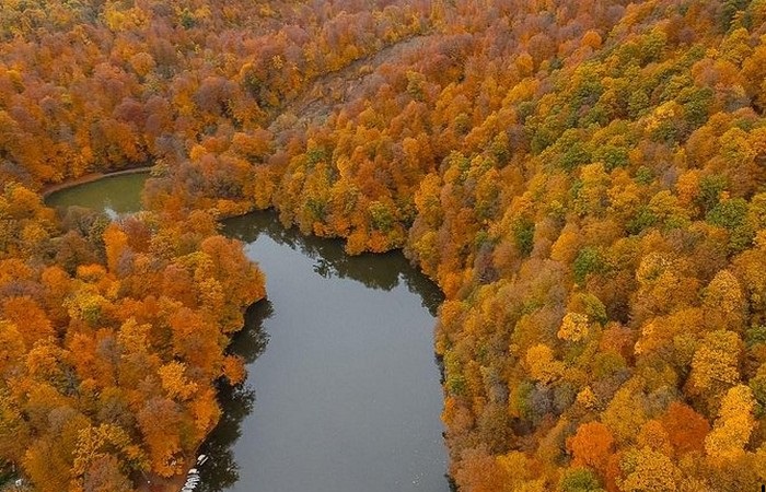 fall-in-armenia1.jpg