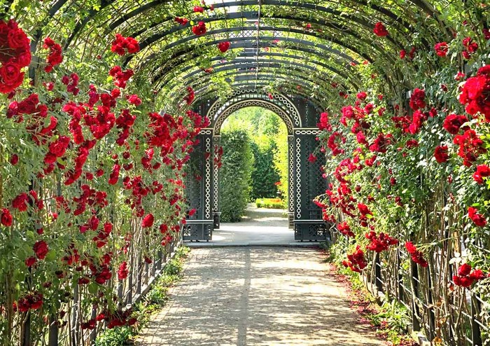 Botanical-Garden-armenia-YERAVAN.jpg