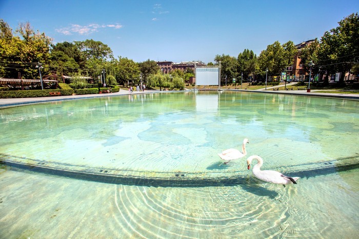 swan-lake-yerevan.jpg