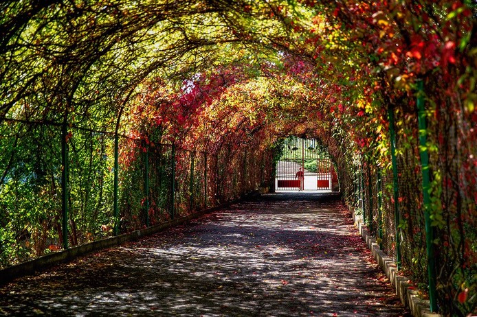 Botanical-Garden-armenia.jpg